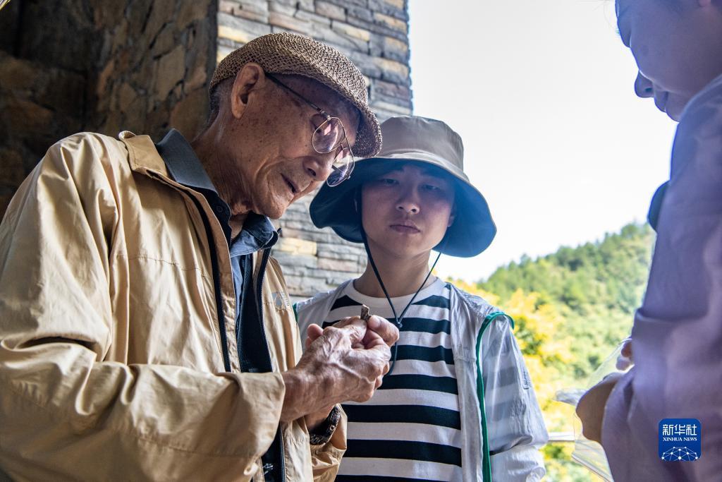 鲨鱼分析软件
